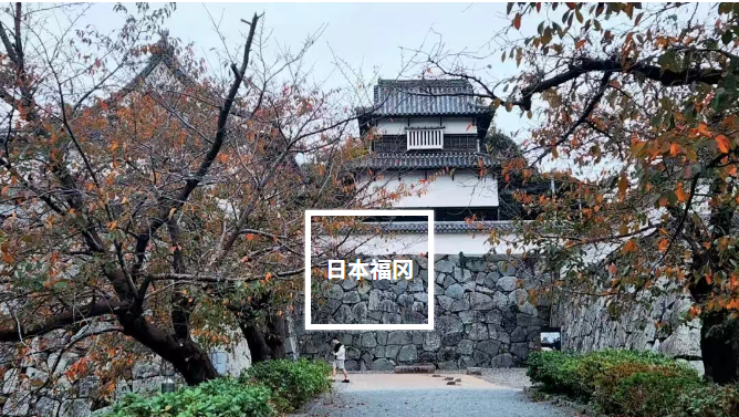 1763344185447062232.png 微信图片_20251117094922_505_4.png